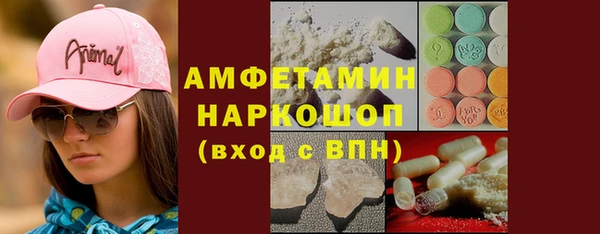 сатива Горняк