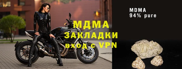 сатива Горняк