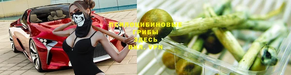 a pvp Вяземский
