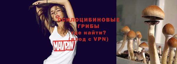 круглые Горно-Алтайск