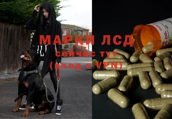 дурь Вязьма