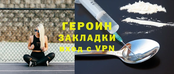 мдпв Гусев