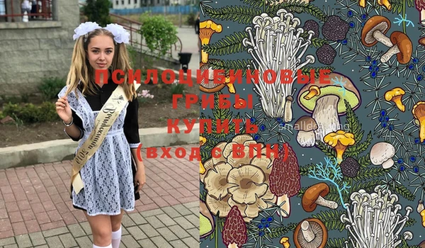 дурь Вязьма