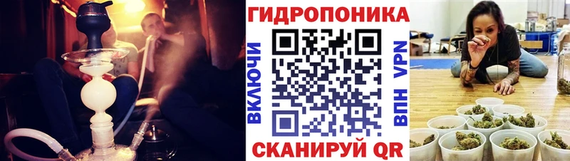 Купить закладки  Каменск-Шахтинский  Шишки марихуана THC 21% 